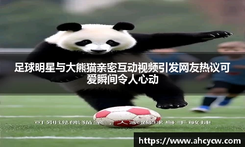 足球明星与大熊猫亲密互动视频引发网友热议可爱瞬间令人心动
